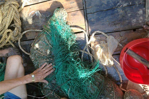 Cá sấu khổng lồ xuất hiện trên sông Soài Rạp đã bị tóm gọn