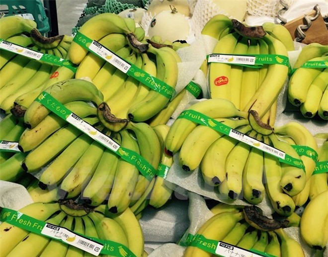 Chuối Việt Nam được bán ở Nhật Bản