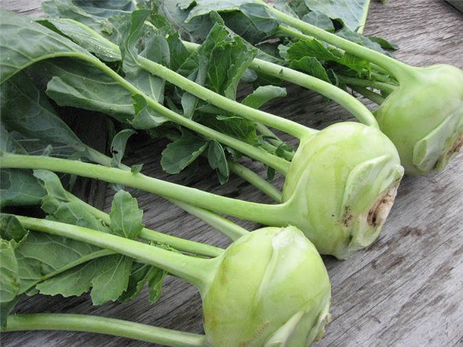 Su hào và những lợi ích ít ai biết