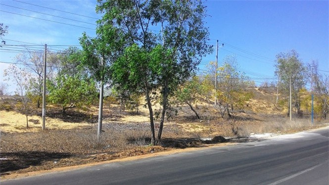 Vụ hiếp dâm tập thể phụ nữ mang thai: Nghi phạm hẹn ngày đầu thú