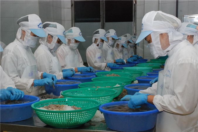 Xuất khẩu thủy sản lo gặp khó vì "đói" nguồn nguyên liệu