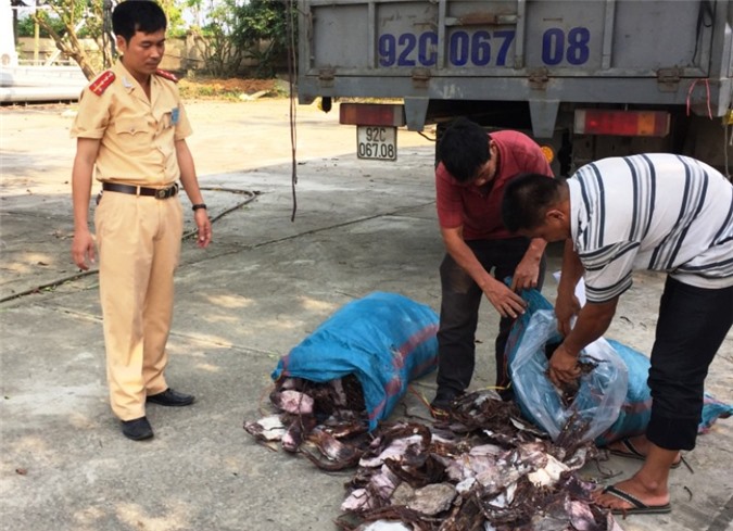 Bắt hơn 21 tấn mực khô bốc mùi hôi thối đang trên đường đi tiêu thụ