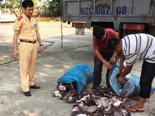 Bắt hơn 21 tấn mực khô bốc mùi hôi thối đang trên đường đi tiêu thụ