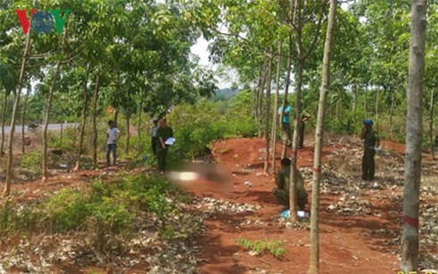 Thanh niên nghi bị giết với hàng chục vết đâm trong lô cao su là ai?