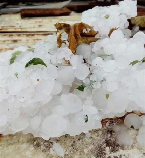 Đắk Lắk: Mưa đá trút xuống ồ ạt, người dân khóc ròng