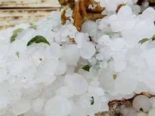 Đắk Lắk: Mưa đá trút xuống ồ ạt, người dân khóc ròng