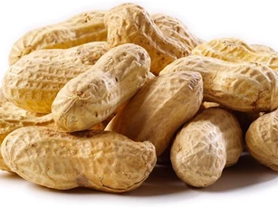 Khám phá 6 công dụng của hạt lạc