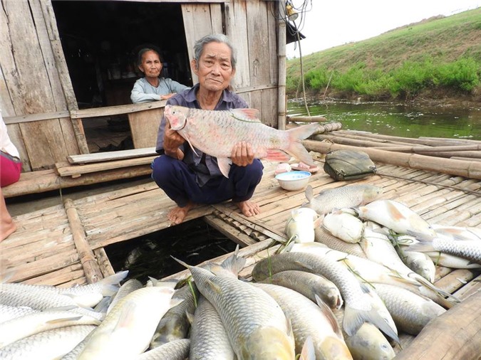 Cá chết trắng sông Bưởi: "Thủ phạm" sẽ phải đền bù cho người dân