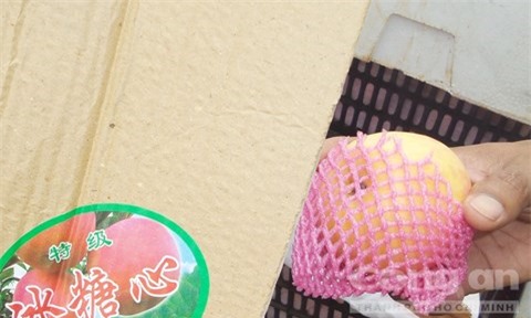 Đắk Lắk: Bắt giữ 750 kg trái cây không rõ nguồn gốc