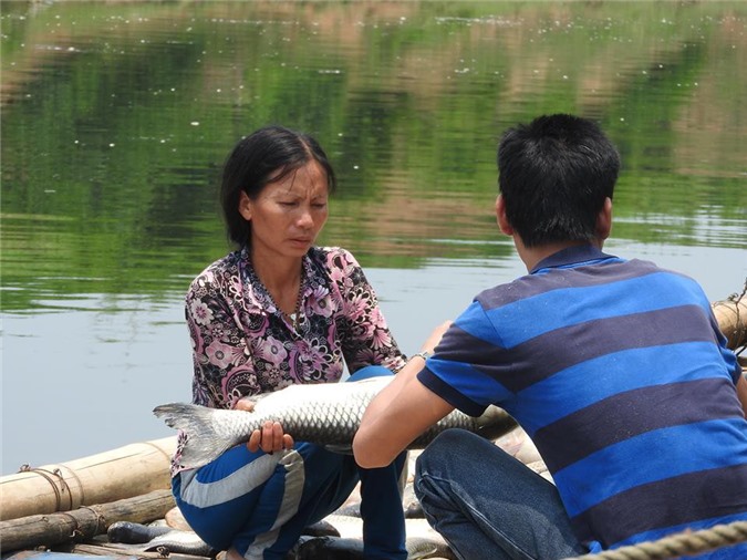 Thanh Hóa báo cáo Thủ tướng vụ cá chết trắng trên sông Bưởi