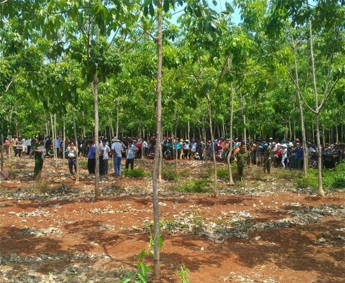 Bắt nghi can giết bạn, phi tang xác trong rừng cao su