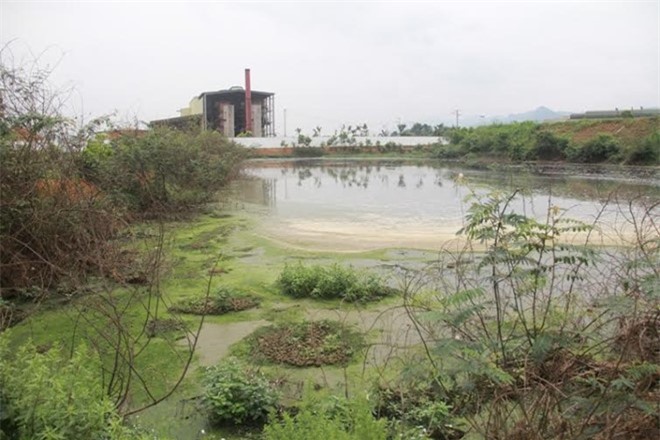 Thanh tra toàn diện các doanh nghiệp xả thải ra sông Bưởi gây ô nhiễm