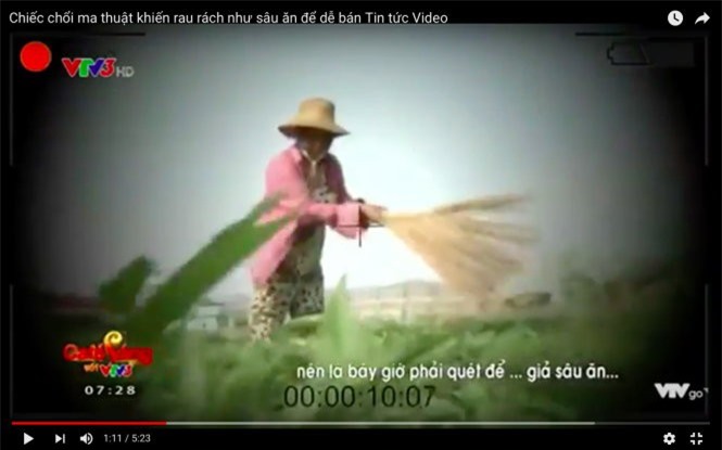 Yêu cầu VTV giải trình về vụ “cây chổi quét rau”