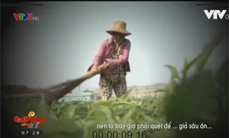 Người dân trồng rau ở Thanh Hóa chấp nhận lời xin lỗi của VTV