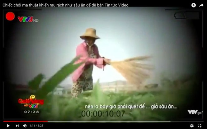 Phạt VTV 50 triệu, buộc phải cải chính xin lỗi vụ "cây chổi quét rau" 