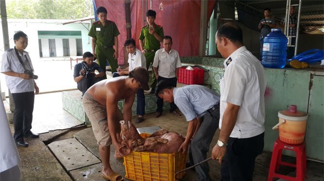Đánh tráo lợn dính chất cấm vào lò mổ ở Bình Dương