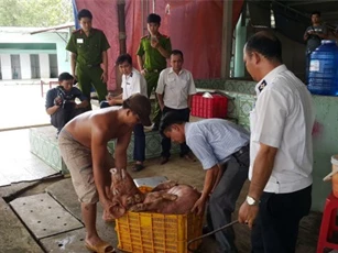 Đánh tráo lợn dính chất cấm vào lò mổ ở Bình Dương