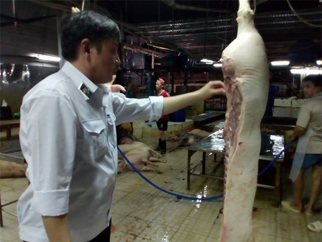 623 con heo bơm nước bị tiêm thuốc an thần trước khi giết mổ