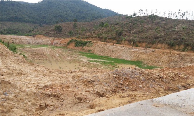 Thanh Hóa: Hàng trăm héc ta rừng “rơi” vào tay lãnh đạo Sở NN&PTNT?