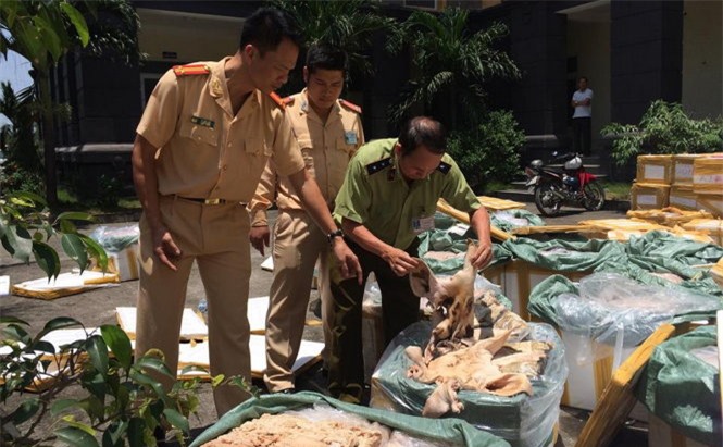 Bắt giữ xe tải chở 10 tấn nội tạng thối rữa đi tiêu thụ