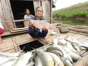 Gây ô nhiễm sông Bưởi, các cơ sở xả thải bị phạt gần 4 tỷ đồng
