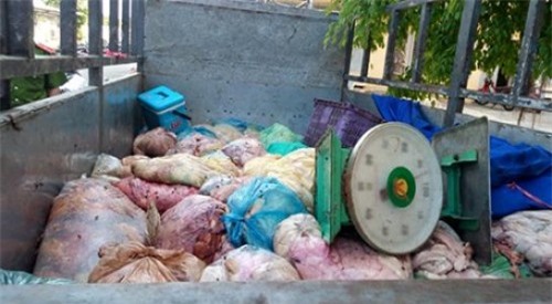 Bắt xe tải chở gần nửa tấn mỡ động vật hôi thối đi tiêu thụ