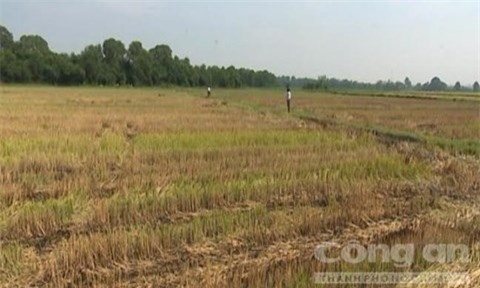 Nổ bom bi, đội trưởng đội rà phá bom mìn tử nạn