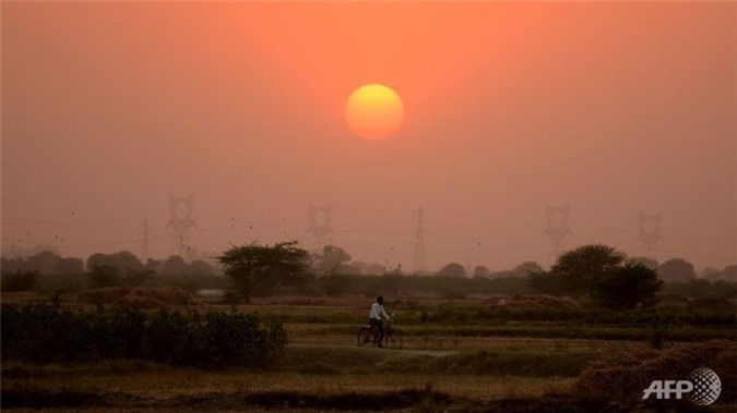 Ấn Độ: Nắng nóng phá kỷ lục, nhiệt độ chạm 51 độ C