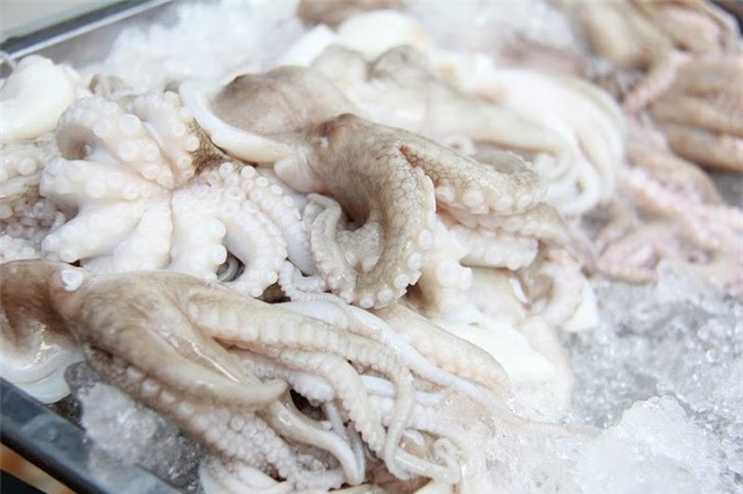 Bạch tuộc Việt Nam sang EU bị cảnh báo không đạt chất lượng