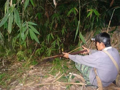 Tưởng là khỉ, cầm súng bắn trúng đầu bạn tử vong