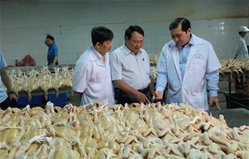 Chủ tịch Đà Nẵng "đột kích" lò mổ, chợ đầu mối lúc nửa đêm