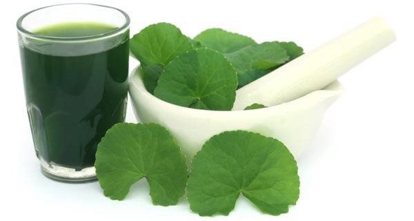 Những người không nên ăn rau má