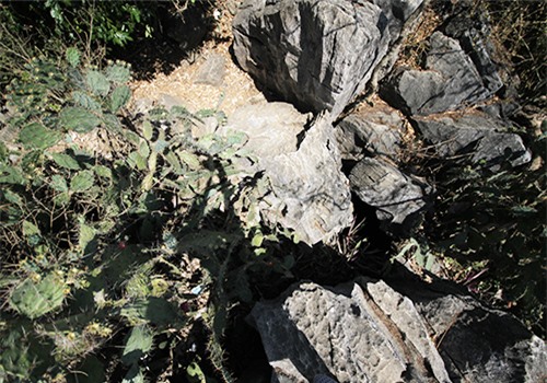 Lạc mất mẹ, bé trai 6 tuổi ngã độ cao 60m xuống động Âm Phủ