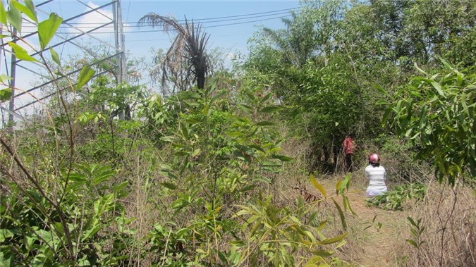 Bàng hoàng xác chết cụ bà 85 tuổi đang phân hủy