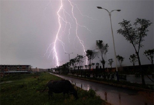 Cảnh báo mưa dông trên diện rộng ở Miền Bắc