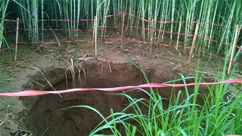 “Hố tử thần” sâu hàng chục mét xuất hiện bên bờ sông Bưởi