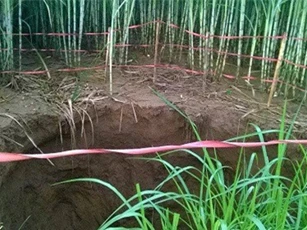 “Hố tử thần” sâu hàng chục mét xuất hiện bên bờ sông Bưởi
