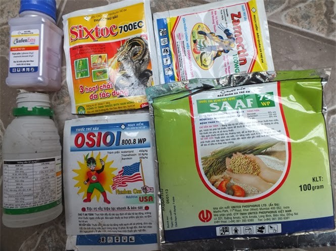 Việt Nam nhập khẩu phân bón chủ yếu từ nước nào?