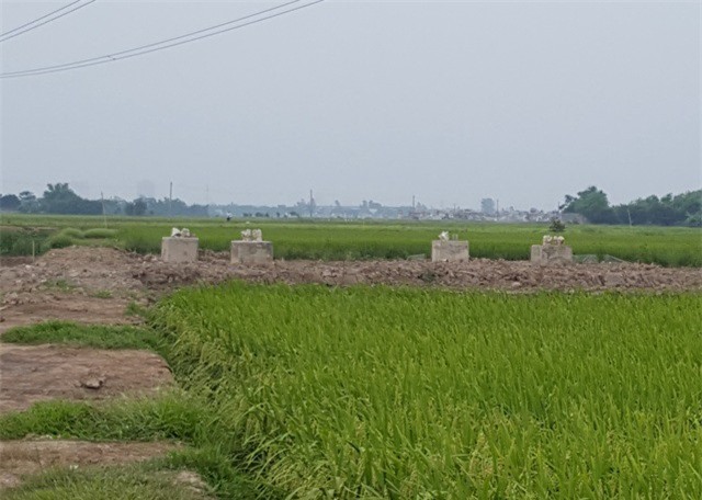 Bí mật động trời bên dưới các trụ điện 220kV: Tạm dừng hoạt động thi công