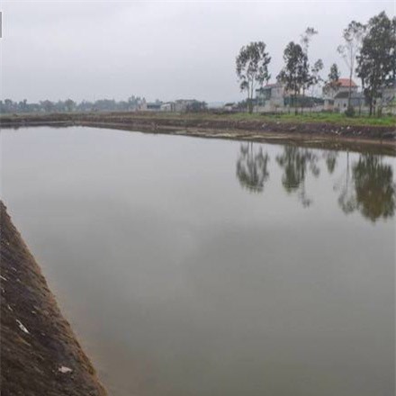 Nghệ An: 3 anh em chết đuối thương tâm khi đi tắm hồ 