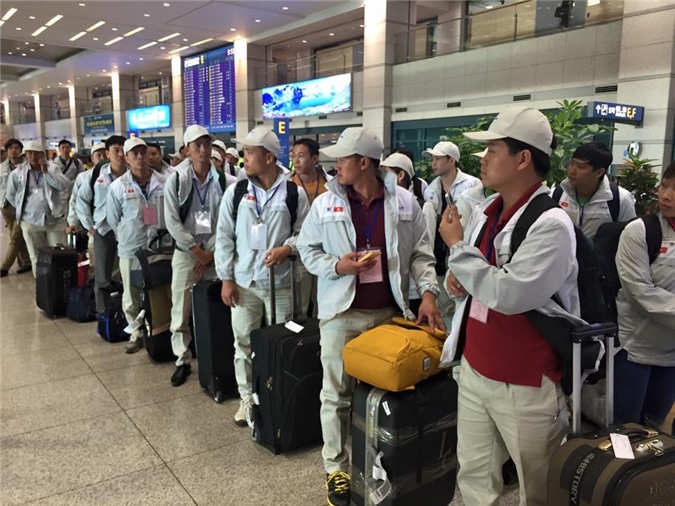 Hơn 43.000 người Việt đi làm việc ở nước ngoài