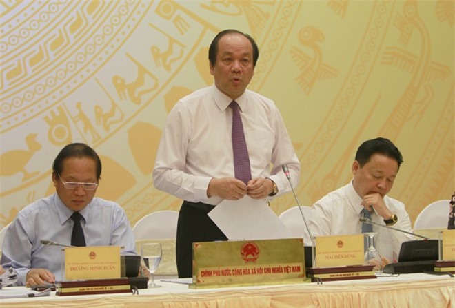 Đã xác định nguyên nhân cá chết, công bố trong tháng 6