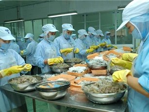Truy xuất nguồn gốc các lô hàng thủy sản xuất khẩu bị cảnh cáo, trả về