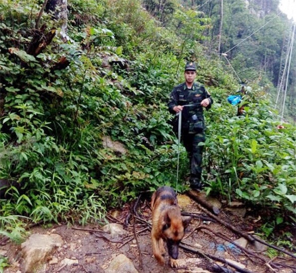 Chó nghiệp vụ tìm thấy thi thể du khách Anh mất tích