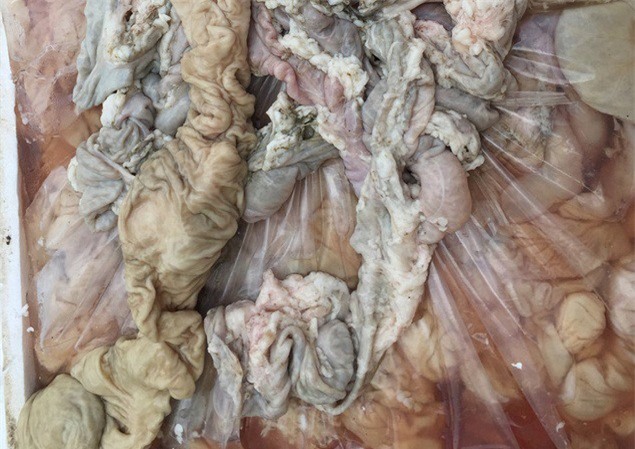 Bắc Ninh: Bắt xe khách chở 4 tạ lòng lợn thối đi tiêu thụ