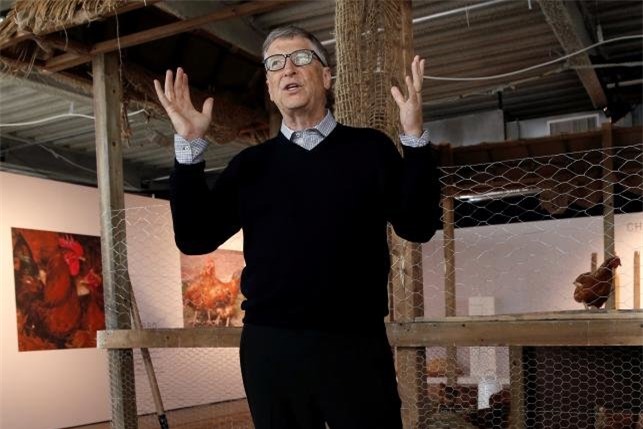 Bill Gates quyên góp 100.000 con gà cứu các nước nghèo