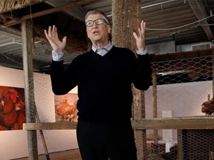 Bill Gates quyên góp 100.000 con gà cứu các nước nghèo