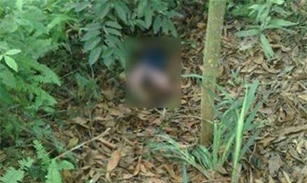 Phát hiện xác bé gái đang phân hủy trong bụi rậm, nghi bị mẹ vứt