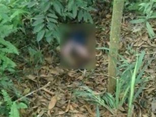 Phát hiện xác bé gái đang phân hủy trong bụi rậm, nghi bị mẹ vứt