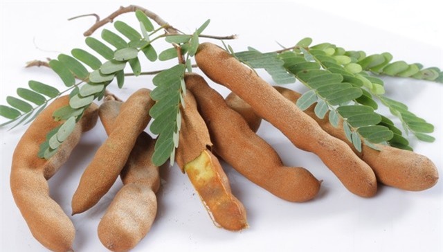 Quả me và những tác dụng bất ngờ